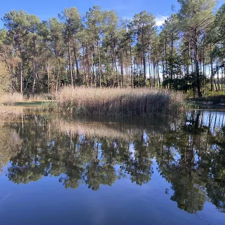 Les Forts * Leigne-les-Bois