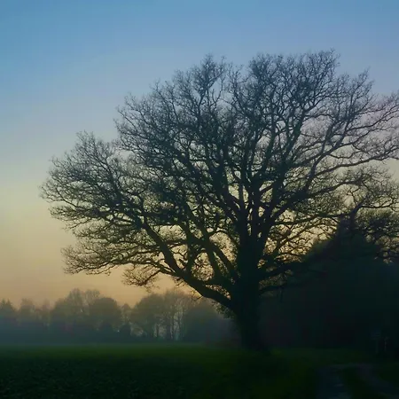 Les Forts Leigne-les-Bois